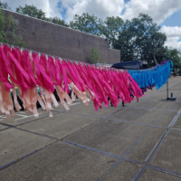 Mini slinger pauw mix 10 meter | Eventbuddies