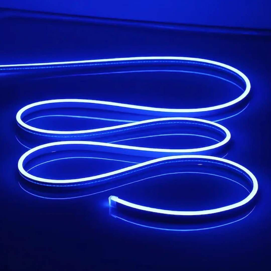 Neon planten set | Eventbuddies