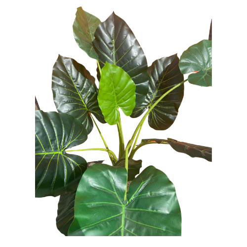 Neon planten set | Eventbuddies