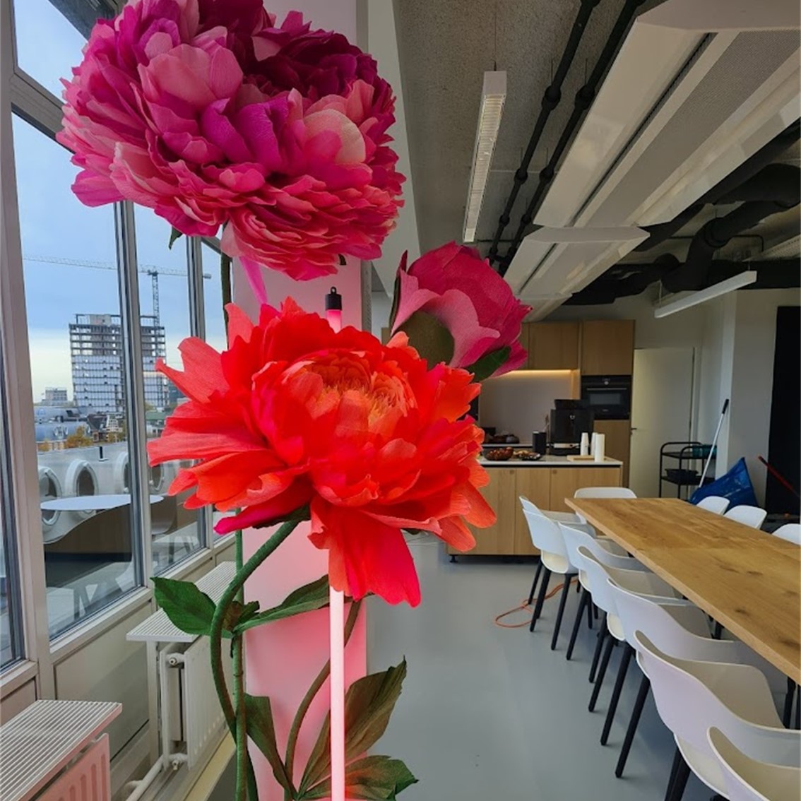 Mega roos rood | Eventbuddies