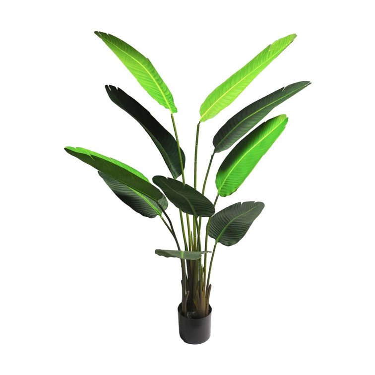 Kunstplant Strelitzia Nicolai 160cm | Eventbuddies