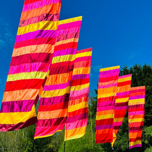Festival vlaggen set A pride Zebra | Eventbuddies