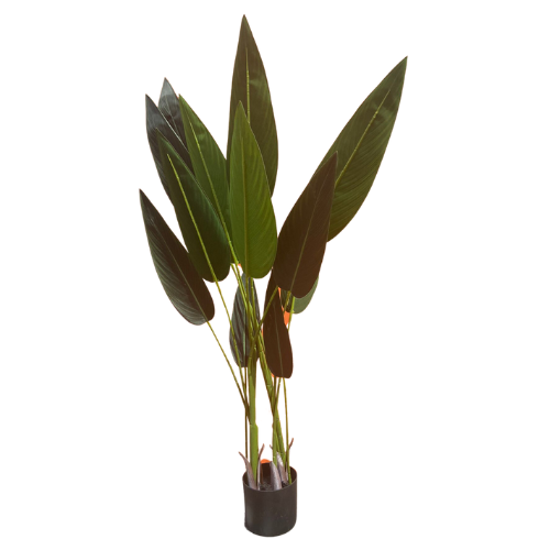 Neon planten set | Eventbuddies