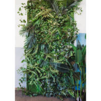 Neon planten set | Eventbuddies
