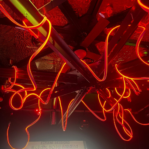 Neon planten set | Eventbuddies