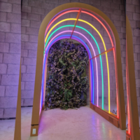 Rainbow backdrop incl. plantenwand | Eventbuddies