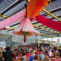 Mega slinger Oranje 10 meter | Eventbuddies