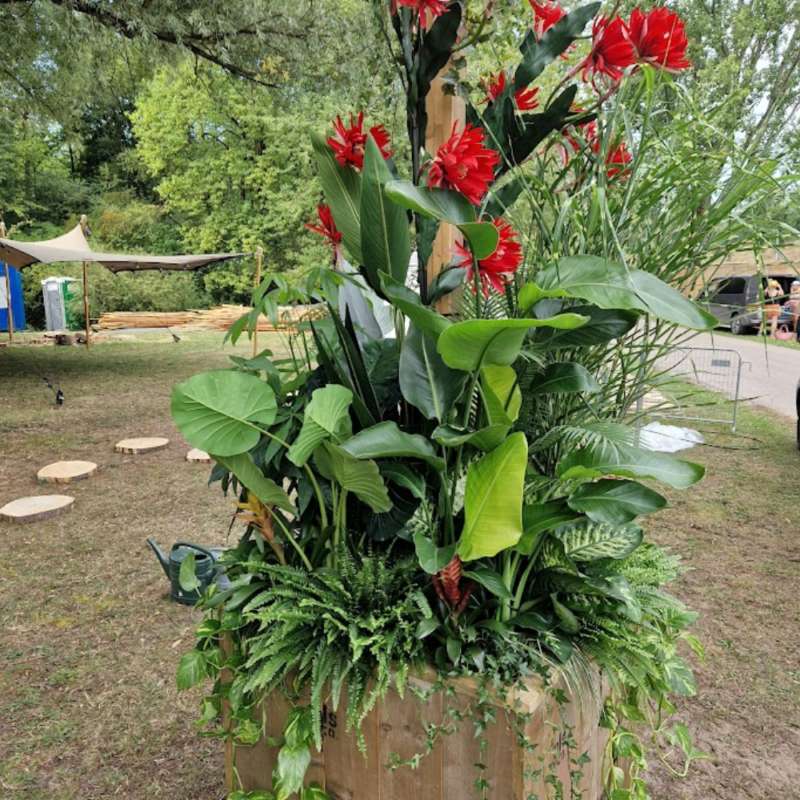 Kunstplant Strelitzia Nikki 130cm | Eventbuddies