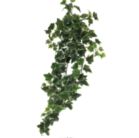 Kunstplant Klimop Maria 100cm | Eventbuddies