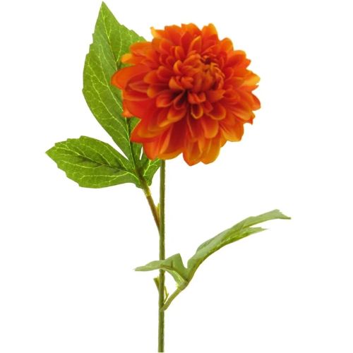 Dahlia George spray orange 50cm | Eventbuddies