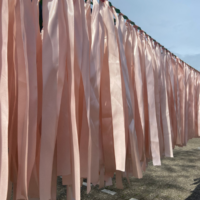 Slingers huren roze