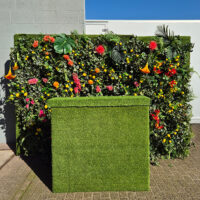 Tropicana wandpanelen met bar | Eventbuddies