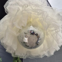 Discobol Zilver Met Tule wit | Eventbuddies