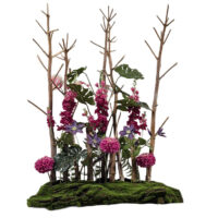 Bloemen plateau pink panter | Eventbuddies