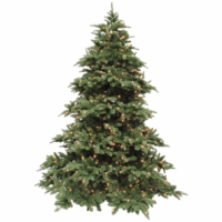 Kerstboom huren évent