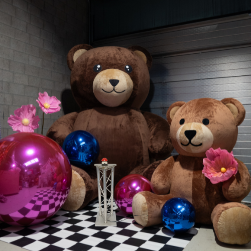 babyshower decoratie huren